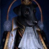 Lord Doggo the 1st