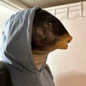 Fliegender Holländer