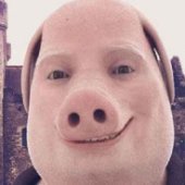 FatPiggy74