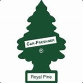 Royal Pine