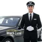 Profesional Chauffeur