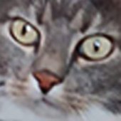 Taboose